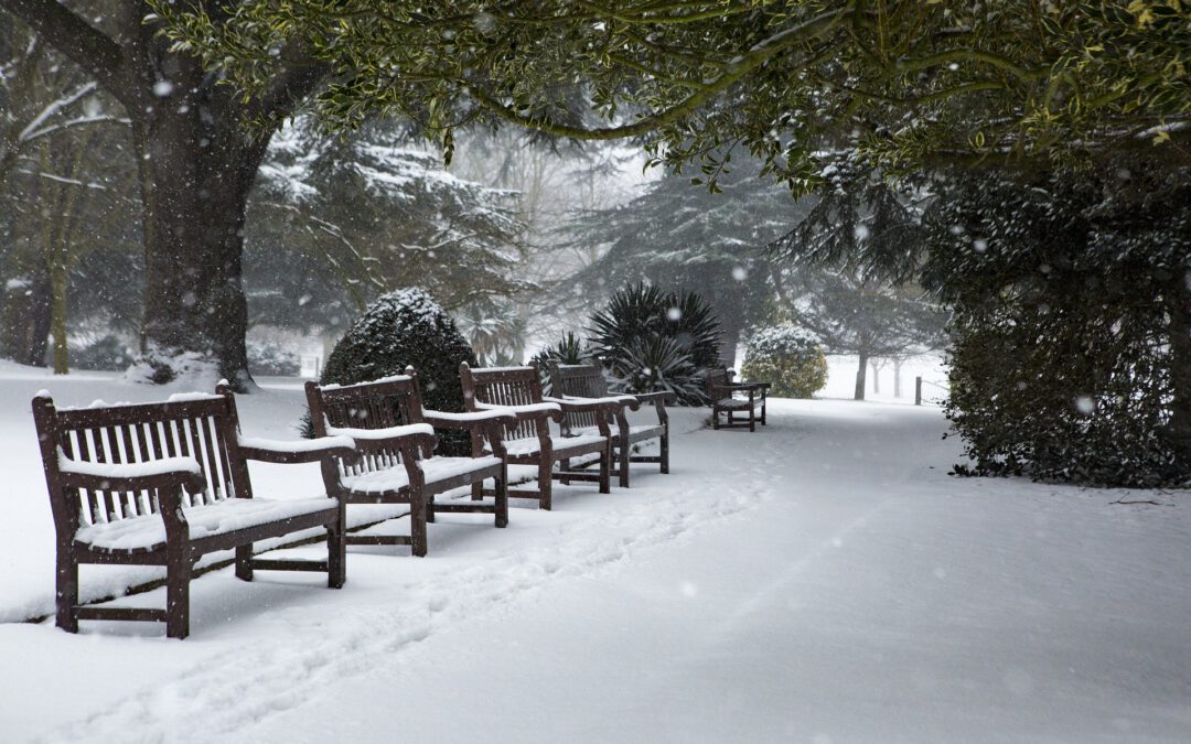 GOED VERHAAL – De mythe van de witte kerst – Roelof