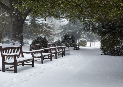 GOED VERHAAL – De mythe van de witte kerst – Roelof