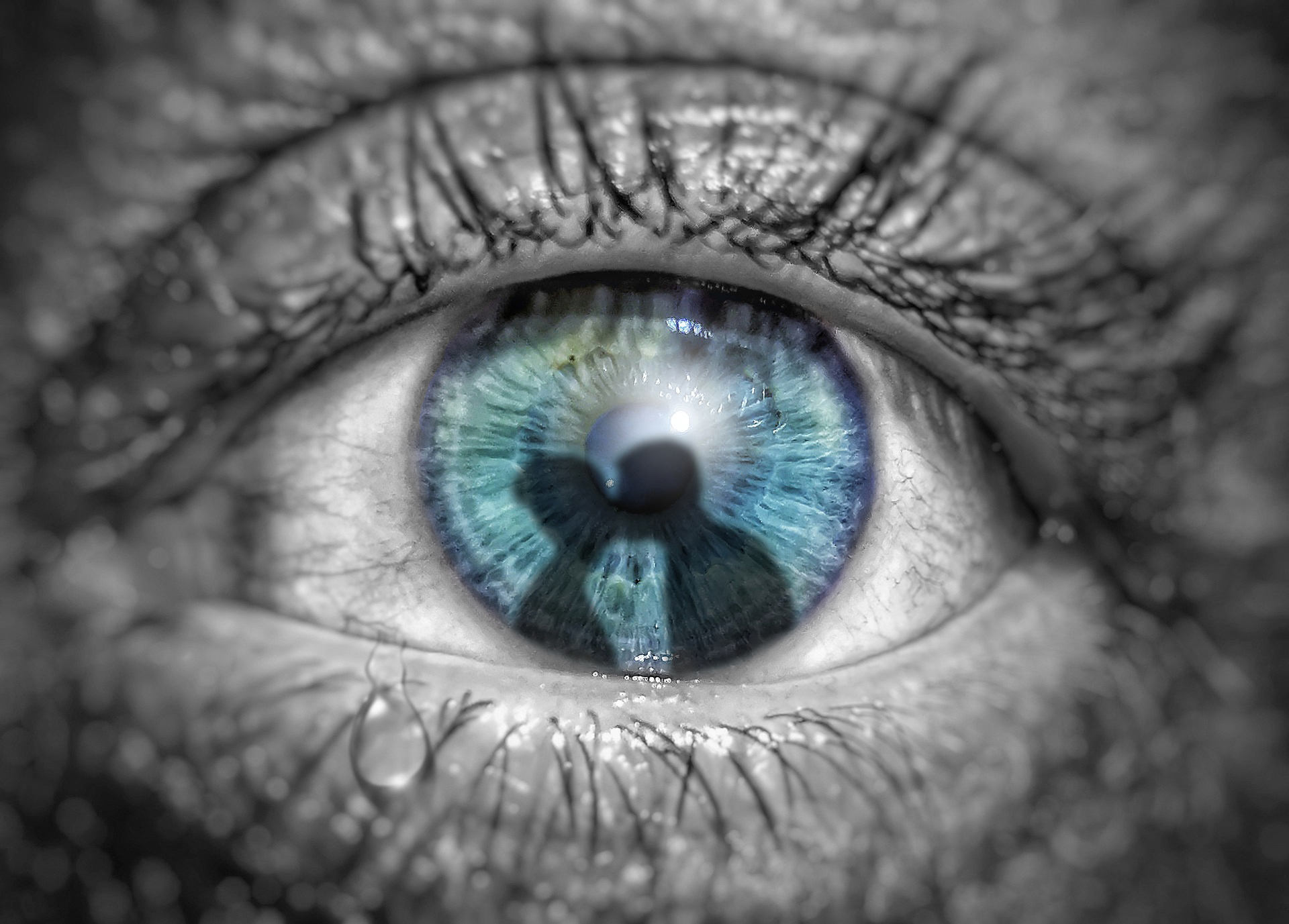 eye-g974128e99_1920 Lex