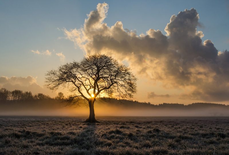 Rust in je hoofd Sjoerd van Berge Henegouwen