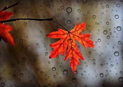 GOED VERHAAL – Door de regen – Swendly