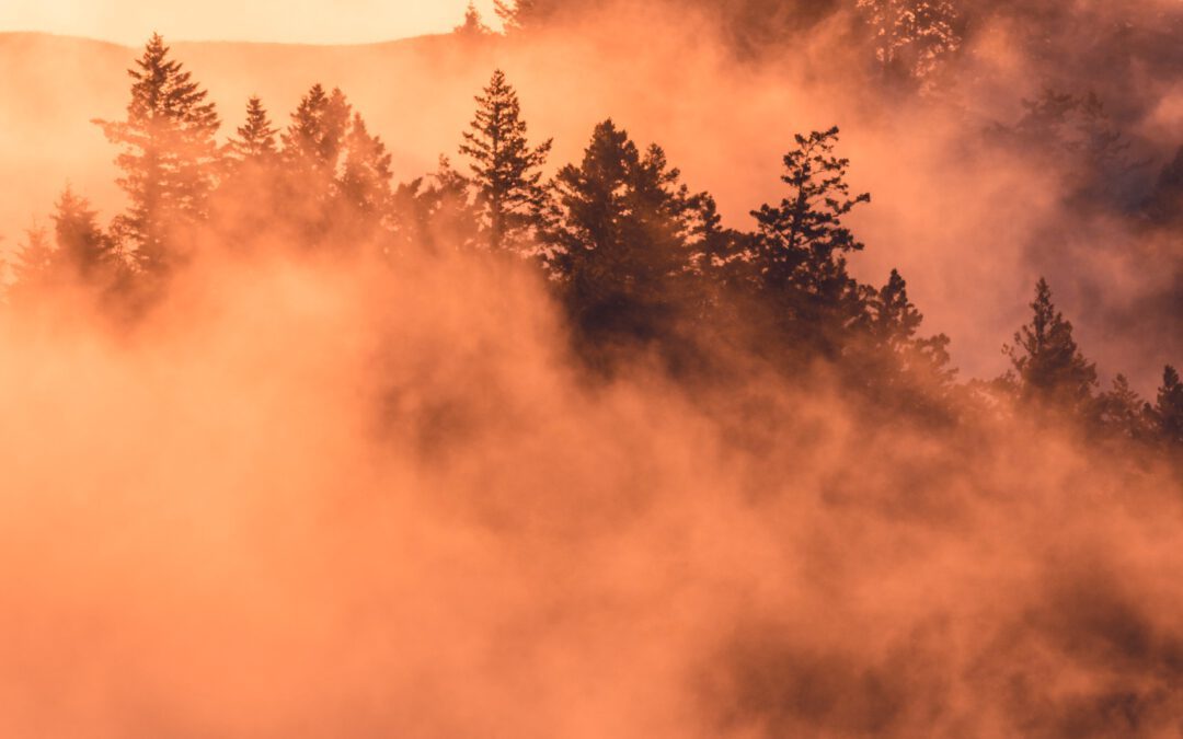 Herfst: tijd om iets achter te laten