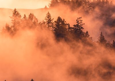 Herfst: tijd om iets achter te laten