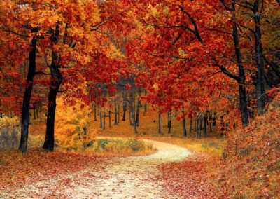 De herfst is goed voor je mentale én fysieke gezondheid