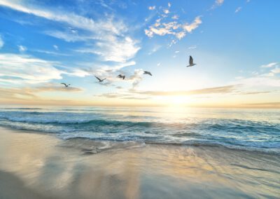 GEDICHT – Haiku’s
