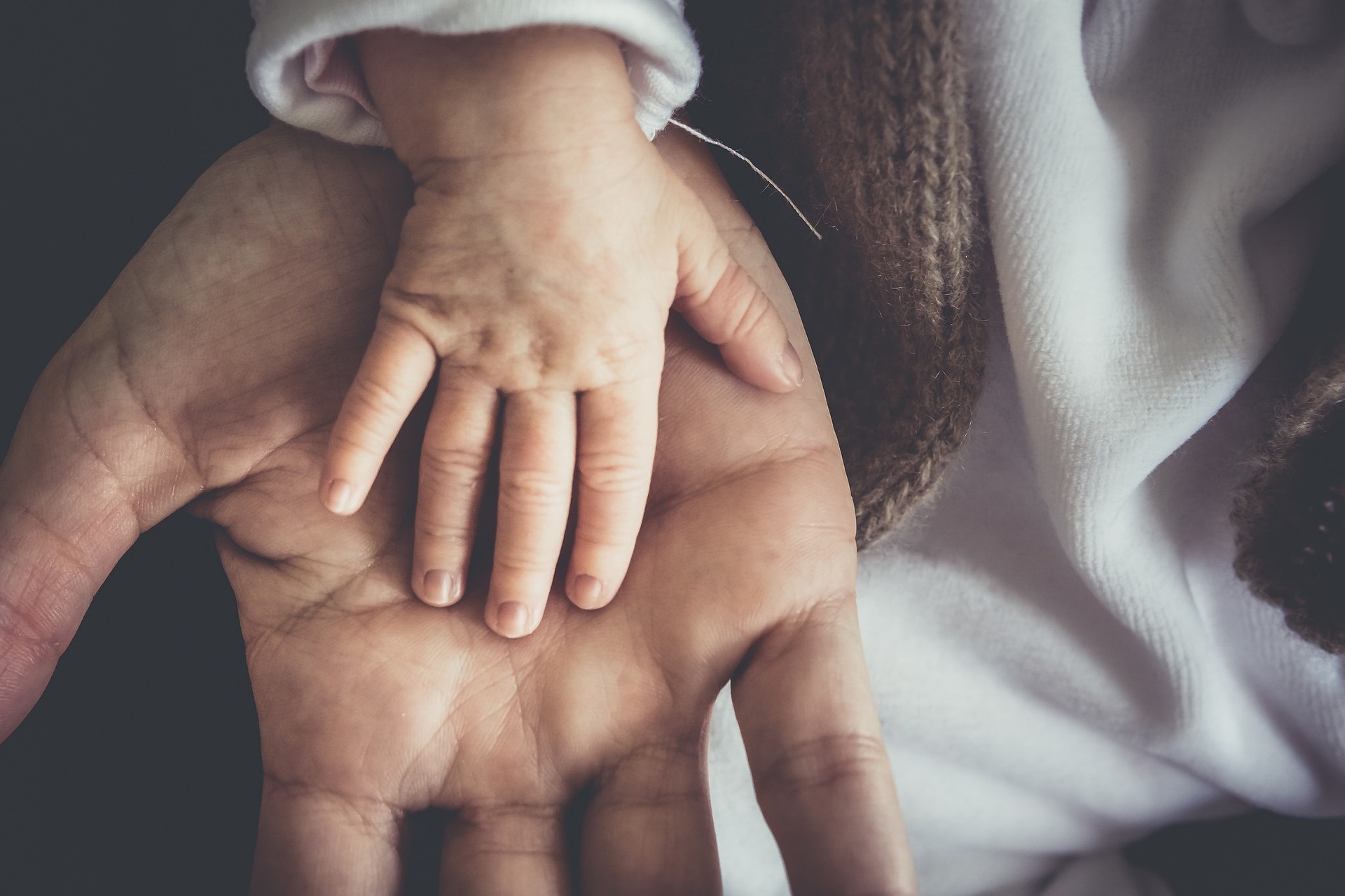 Hands Sjoerd van Berge Henegouwen