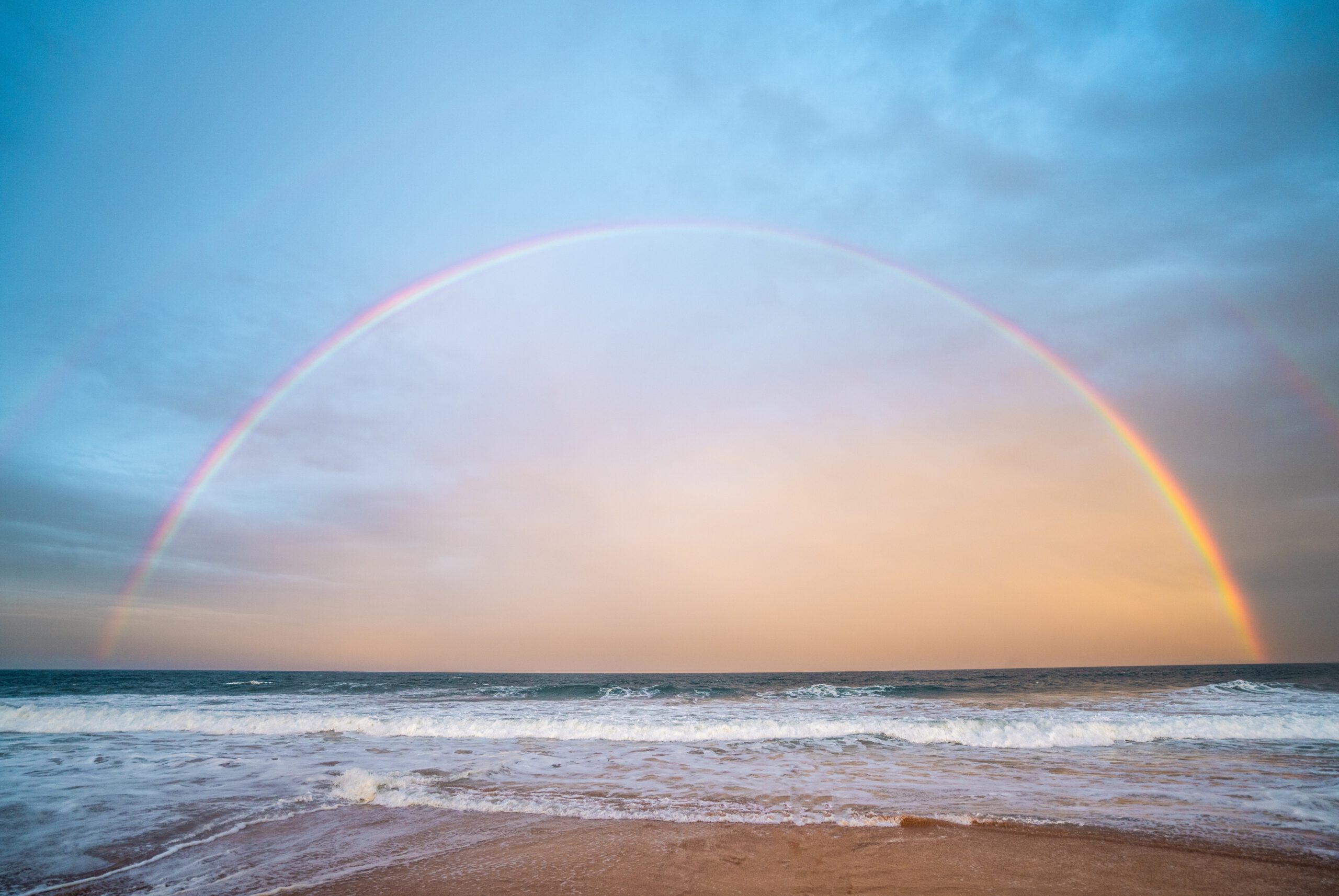 regenboog Lex